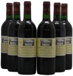 vue du vin Château Monbousquet