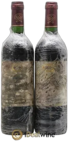 photo du vin Château Sociando Mallet