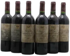 photo du vin Château Sociando Mallet