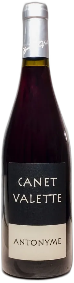 vue du vin Antonyme 2023 Domaine Canet-Valette