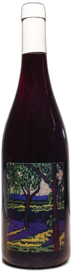 illustration du vin Bourgueil le Cabernet Franc 2022 Domaine Breton