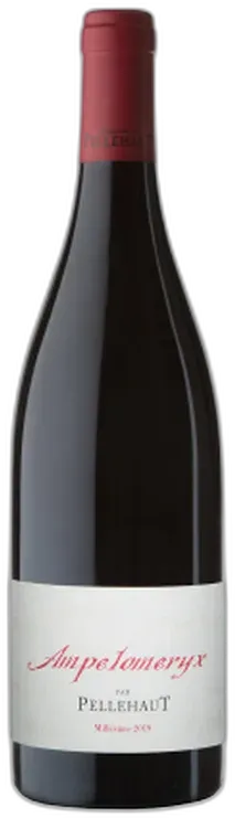 photo du vin Vin de France, Ampélomeryx Rouge 2024 Domaine de Pellehaut