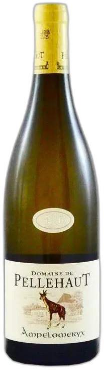 illustration du vin Vin de France, Ampélomeryx Blanc 2024 Domaine de Pellehaut