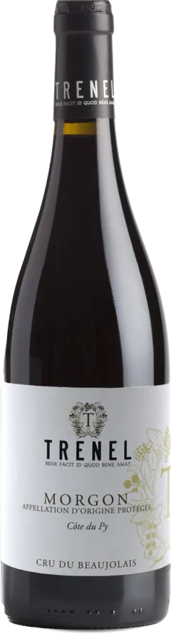 photo du vin Morgon Côte du py