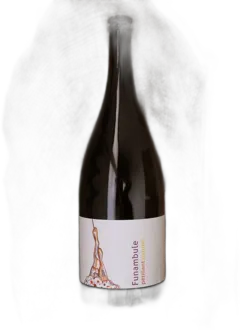 photo du vin Magnum Funambule Blanc pã©Tillant 2019