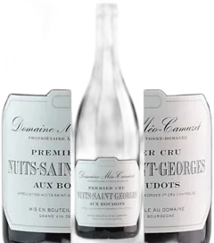photo du vin Aux Boudots 1er Cru