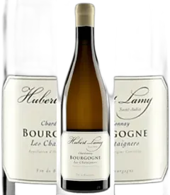 vue du vin Bourgogne Blanc les Châtaigniers 2023 Lamy