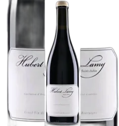 photo du vin Santenay Clos des Hâtes 2023 Lamy