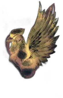 photo du vin Chapuis & Chapuis Hautes Côtes de Beaune