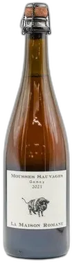 vue du vin Maison Romane Mousses Sauvages Gamay