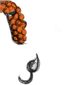 image du vin Leoni Arancione