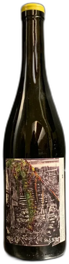 photo du vin Vin de France Blanc "Ravagnin"