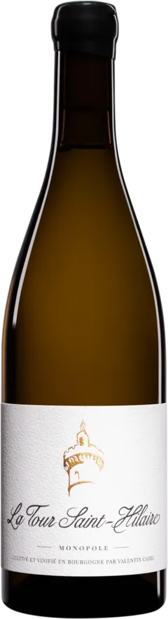 photo du vin La Tour Saint-Hilaire - Monopole