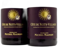 vue du vin Côte de Nuits-Villages