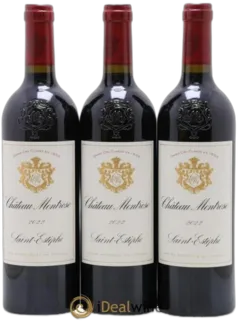 vue du vin Château Montrose