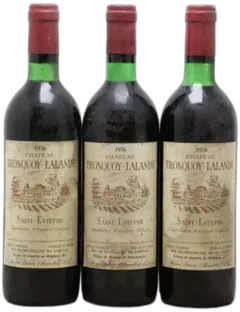 vue du vin Tronquoy Lalande