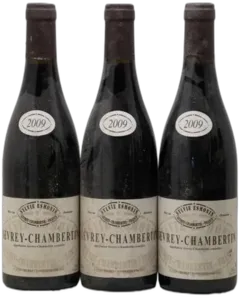 photo du vin Gevrey-Chambertin Sylvie Esmonin