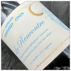 vue du vin Domaine Bernard Bonin Meursault la Rencontre 2020