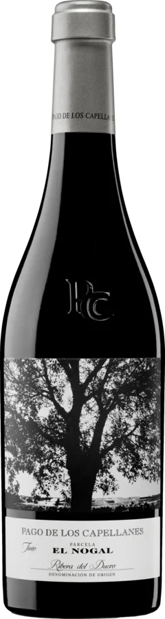 photo du vin Pago de Los Capellanes el Nogal