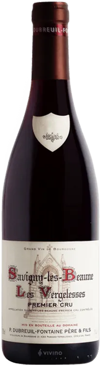 vue du vin Dubreuil Fontaine Savigny les Beaune 1er Cru les Vergelesses 2023