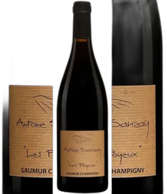 photo du vin Saumur Champigny les Poyeux 2020 Antoine Sanzay