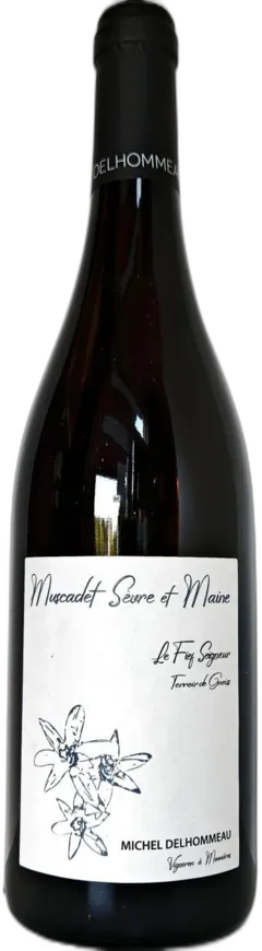 illustration du vin Muscadet Sèvre et Maine Sur Lie le Fief Seigneur Terroir de Gneiss Domaine Michel Delhommeau a Bio