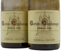 vue du vin Dubreuil-Fontaine Corton-Charlemagne Grand Cru