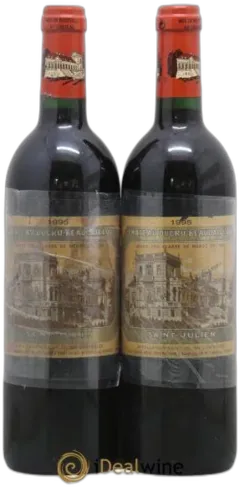 vue du vin Château Ducru Beaucaillou