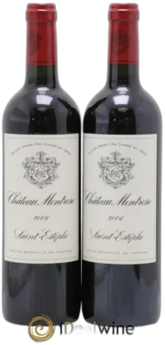 vue du vin Château Montrose