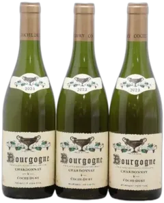 photo du vin Bourgogne Coche Dury 2023