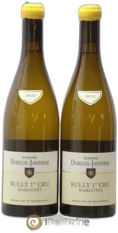 image du vin les Margotés