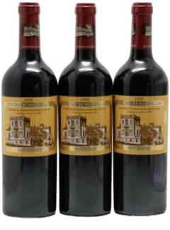 vue du vin Château Ducru Beaucaillou