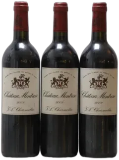 vue du vin Château Montrose