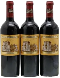 vue du vin Château Ducru Beaucaillou