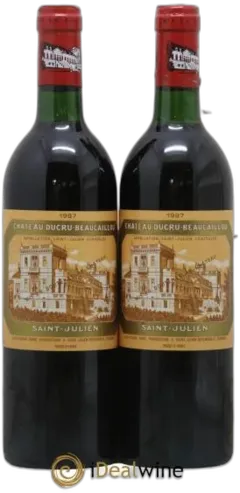 vue du vin Château Ducru Beaucaillou