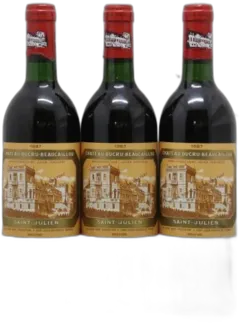 vue du vin Château Ducru Beaucaillou