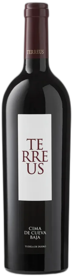 illustration du vin Castilla y Leã³n Igp Terreus Bodegas Mauro 2022