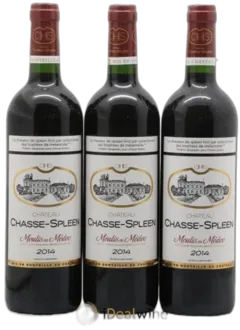 photos du vin Château Chasse Spleen