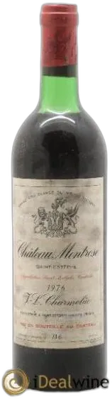 vue du vin Château Montrose