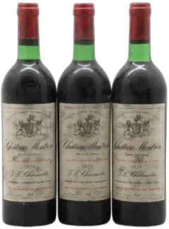 vue du vin Château Montrose