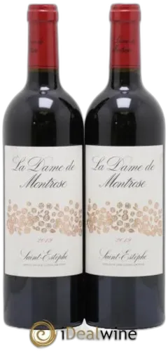 vue du vin la Dame de Montrose Second Vin