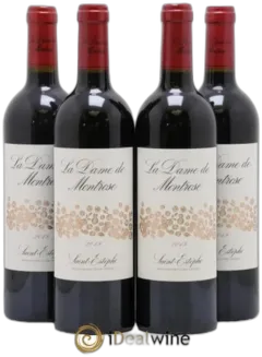 vue du vin la Dame de Montrose Second Vin