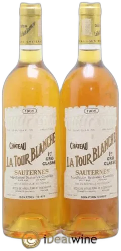 vue du vin la Tour Blanche