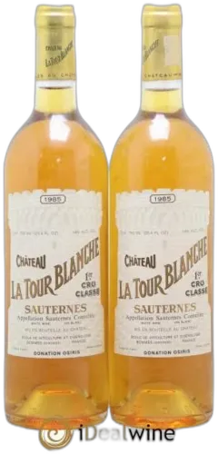 vue du vin la Tour Blanche