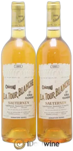 vue du vin la Tour Blanche