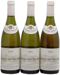 illustration du vin Puligny-Montrachet