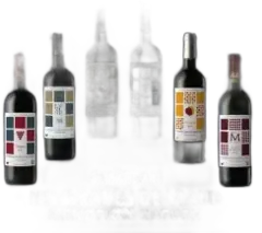 photo du vin Découverte en Biodynamie