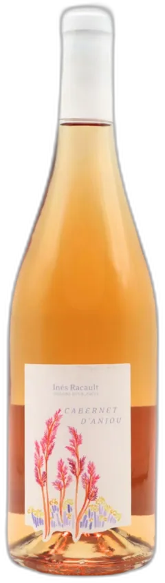 vue du vin Cabernet d’Anjou Sec Domaine des Bleuces
